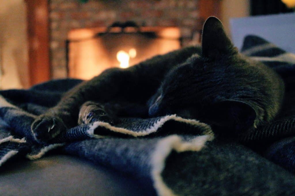 watch out for these common issues and avoid a house fire